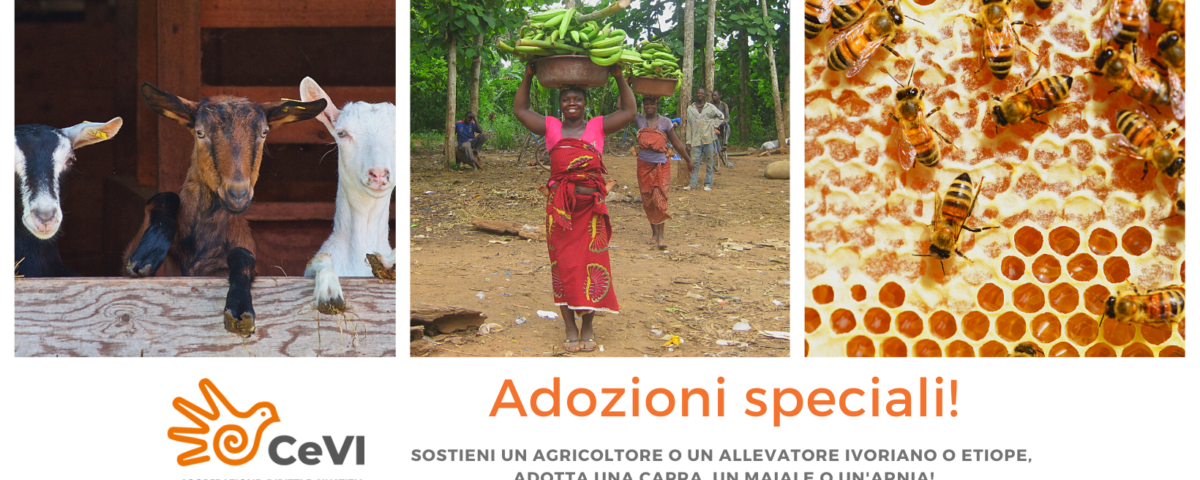Campagna di adozioni a distanza a sostegno di allevatori e agricoltori in Africa